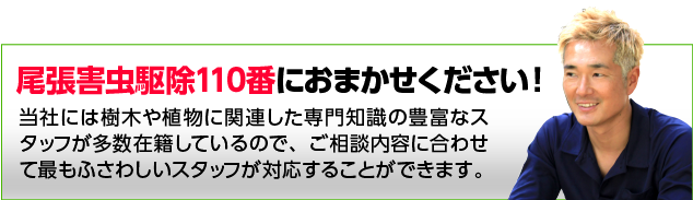 アイ・エコアップにお任せ下さい