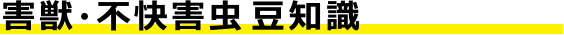 有害動物（害獣・不快害虫）豆知識