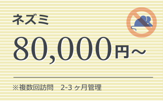 ネズミ 80,000円～ ※複数回訪問　2-3ヶ月管理