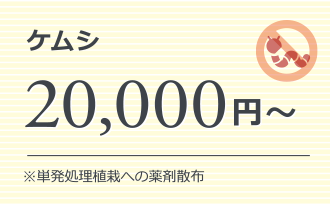 ケムシ 20,000円～ ※単発処理植栽への薬剤散布