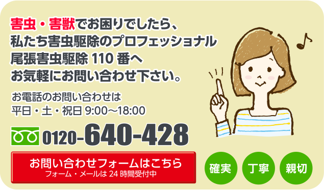 害虫・害獣でお困りでしたら、私たち害虫駆除のプロフェッショナル尾張害虫駆除110番へお気軽にお問い合わせ下さい。
