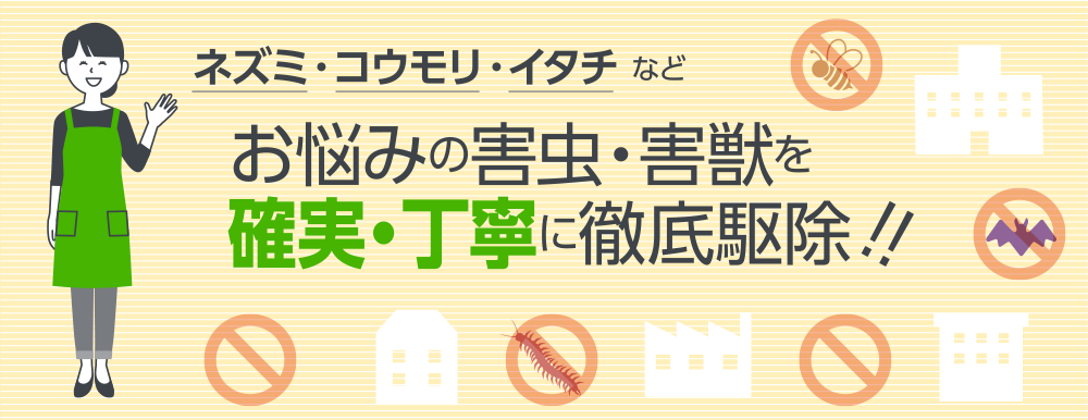 害虫害獣でお困りの方 ネズミ・コウモリ・イタチなどお悩みの害虫・害獣を確実・丁寧に徹底駆除!!